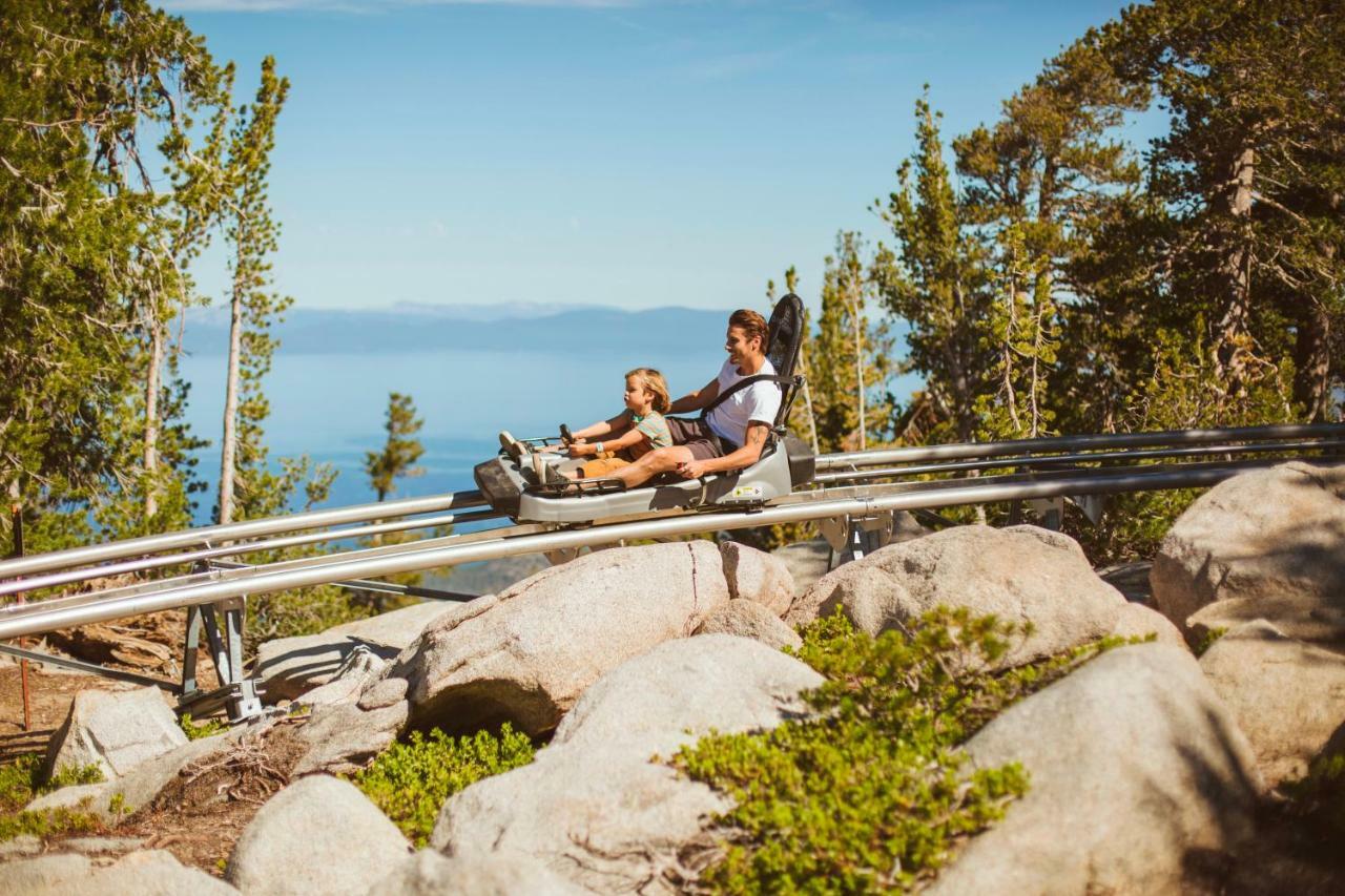 Zalanta 313 Leilighet South Lake Tahoe Eksteriør bilde